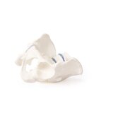 Pelvis masculina con sacro y 2 vértebras lumbares