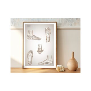 Póster de reflexología