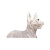 Modelo de perro de acupuntura