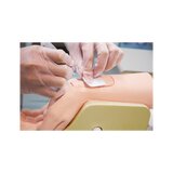 Træningshåndled til arteriepunktur i a. radialis