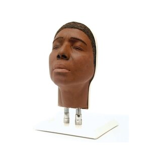 Entrenamiento del modelo de cabeza para inyecciones faciales, versión C