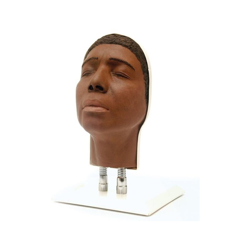 Entrenamiento del modelo de cabeza para inyecciones faciales, versión C