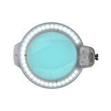 Glow Moonlight 8013/6" – LED-forstørrelseslampe med stativ på hjul, sort