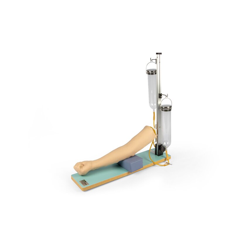 Injection practice arm for intravenous injection and blood sampling