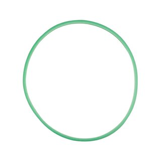 Silicone gasket for Woson Type D 10 L and 12 L autoclave, green, 7.5 mm