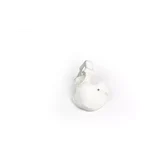 Media pelvis