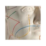 Modelo de acupuntura 70 cm - Mujer