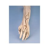 Inyecciones intravenosas en el brazo de entrenamiento