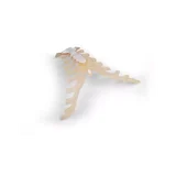 Anatomía del esternón