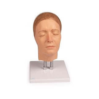 Entrenamiento de modelo de cabeza para inyecciones faciales, versión A
