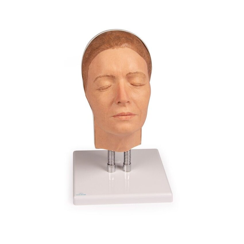 Entrenamiento de modelo de cabeza para inyecciones faciales, versión A
