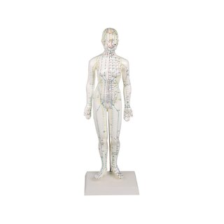 Figura de acupuntura china, femenina