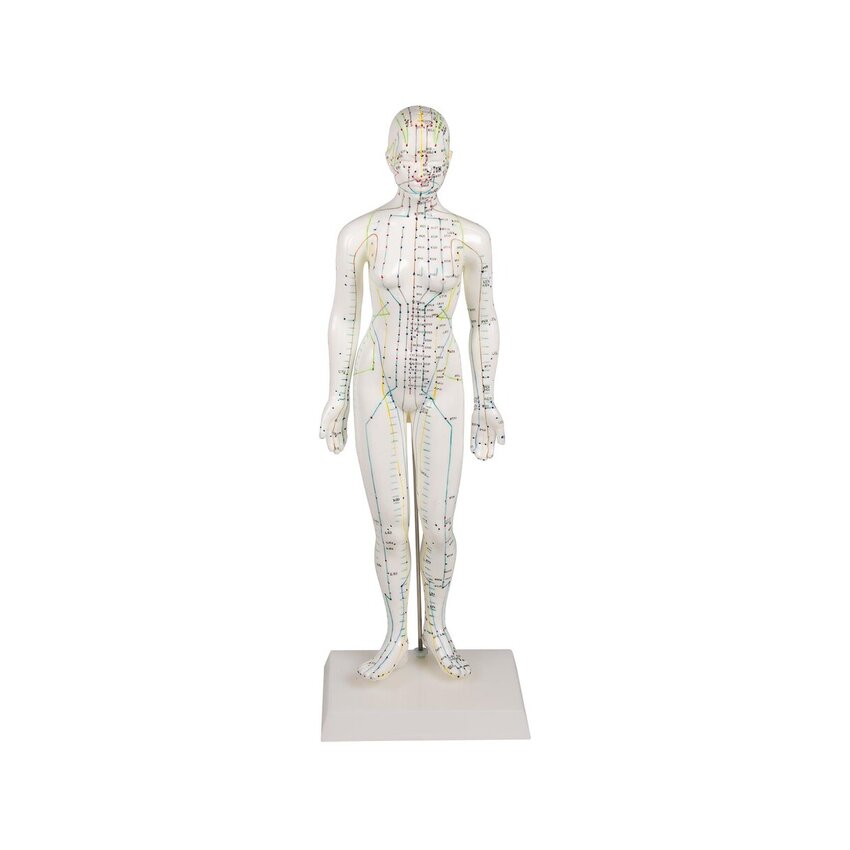 Figura de acupuntura china, femenina