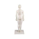 Figura de acupuntura china, femenina