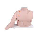 Vascular Victor – Training Model for Implanted Ports and Central Venous Catheters