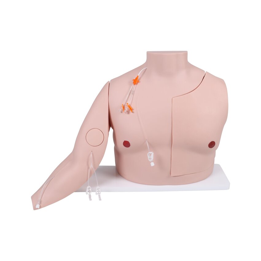 Vascular Victor – Training Model for Implanted Ports and Central Venous Catheters