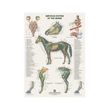 6 carteles de caballos en formato volteable