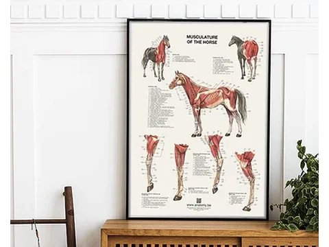 Carteles de animales