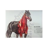 6 carteles de caballos en formato volteable