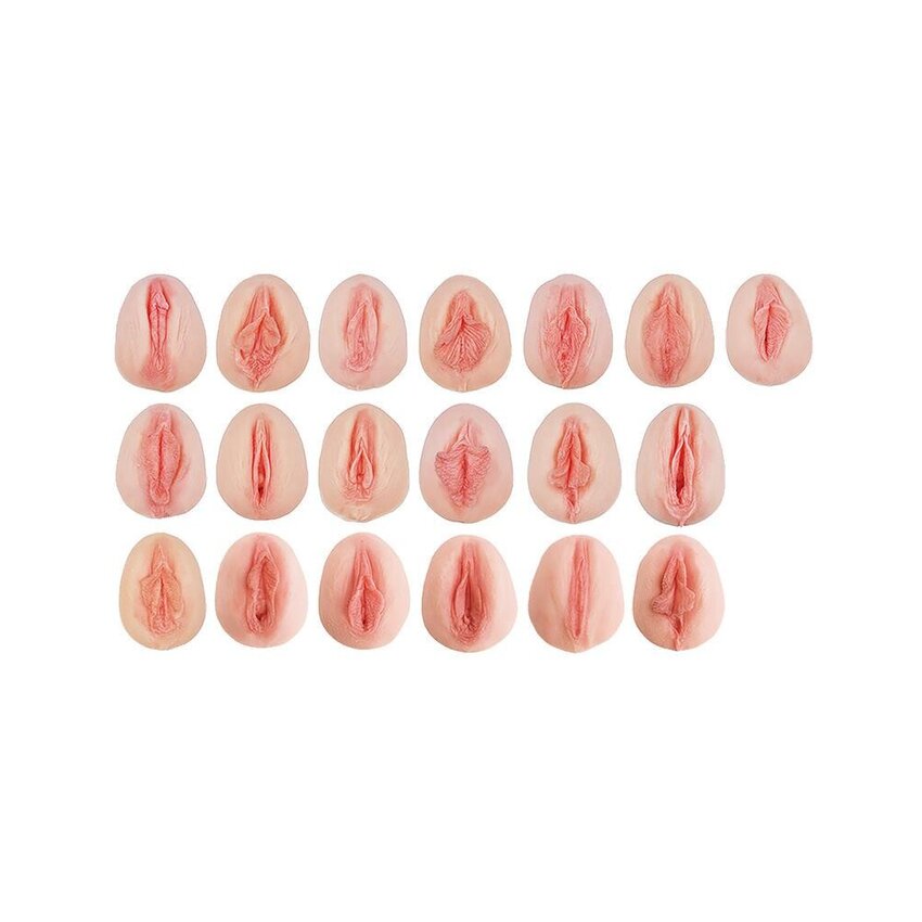 Modelo de abdomen que muestra diferencias anatómicas