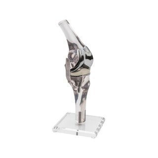 Modelo de rodilla con endoprótesis