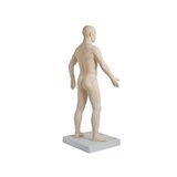 Modelo de acupuntura de 70 cm para uso profesional.