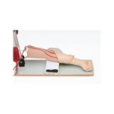 Injection practice arm for intravenous injection and blood sampling