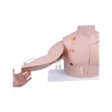 Vascular Victor – Training Model for Implanted Ports and Central Venous Catheters