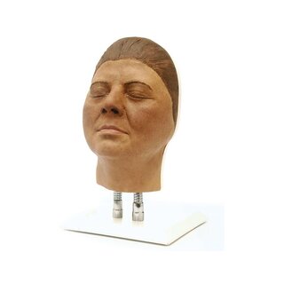 Entrenamiento de modelo de cabeza para inyecciones faciales, versión F