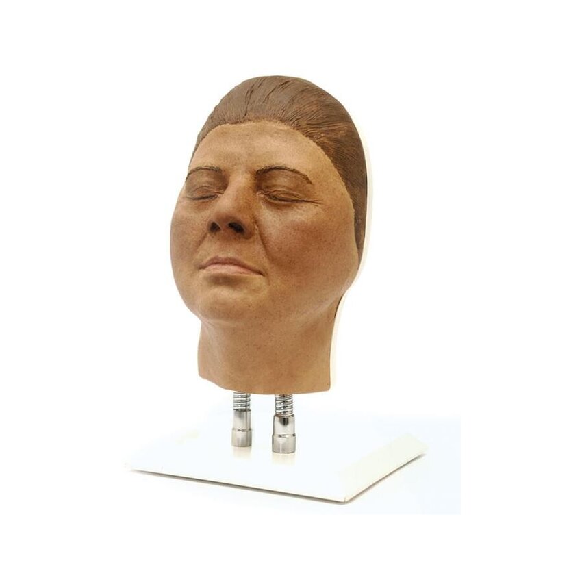 Entrenamiento de modelo de cabeza para inyecciones faciales, versión F