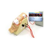 Træningshåndled til arteriepunktur i a. radialis