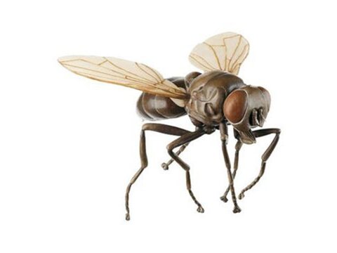 Otros modelos animales