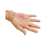 Geriatric IV training arm for venipuncture on elderly patients