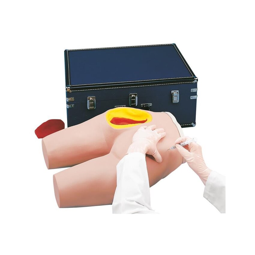 Simulator til intramuskulær injektion med synlig anatomi i glutealregionen
