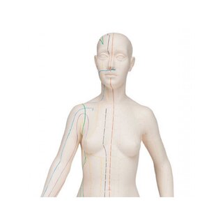 Modelo de acupuntura 70 cm - Mujer